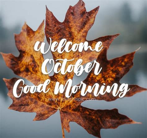 A Close Up Of A Leaf With The Words Welcome October Good Morning