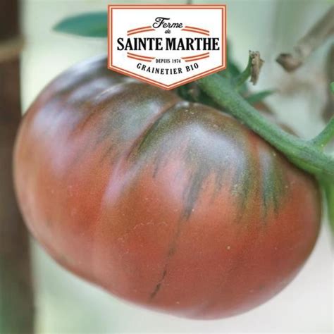 Tomate Black From Tula Graines La Ferme Sainte Marthe