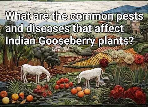 What are the common pests and diseases that affect Indian Gooseberry ...