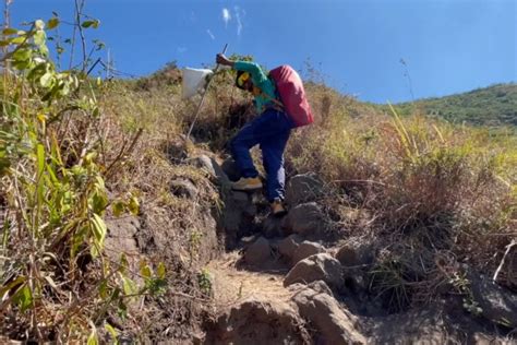 Sensasi Mendaki Puncak Pergasingan Lombok Dan Tips Bagi Pendaki Pemula