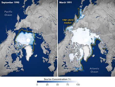 Arctic Sea Ice Melt Causes