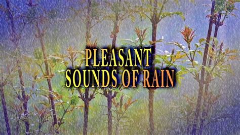 Pleasant Sounds Of Rain The Sound Of Rain For Sleeping Fall Asleep