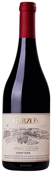 Bodega Garzón Single Vineyard Pinot Noir Vivino