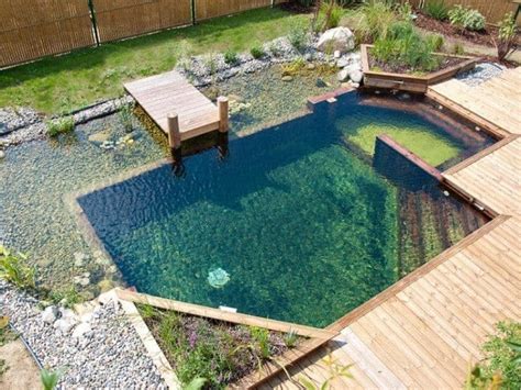 Piscine Naturelle La Piscine Cologique Sans Entretien