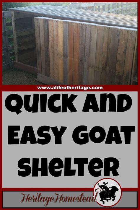 Free Goat Shelter Plans [For 3-6 Goats!] | Goat shelter, Goat care, Goats