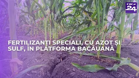 Fertilizanți speciali cu azot și sulf în platforma băcăuană YouTube