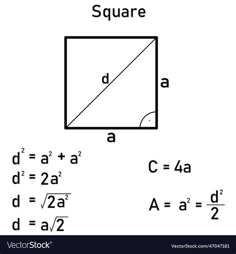 Diagonals Of A Square