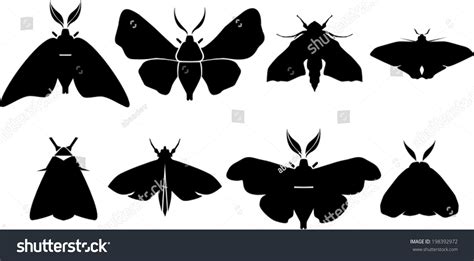 28596 Moths Silhouette Images Stock Photos And Vectors Shutterstock