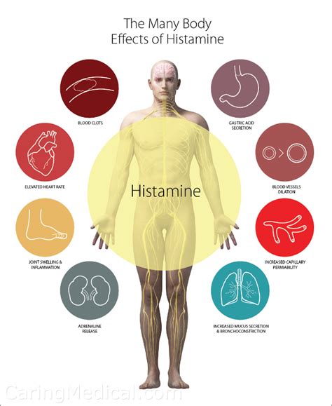 Mast Cell Activation Syndrome And The Vagus Nerve