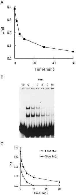 Interaction Of Seqa And Dam Methylase On The Hemimethylated Origin Of