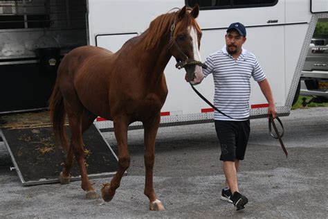 Old Friends Welcomes Jonesboro Old Friend Equine