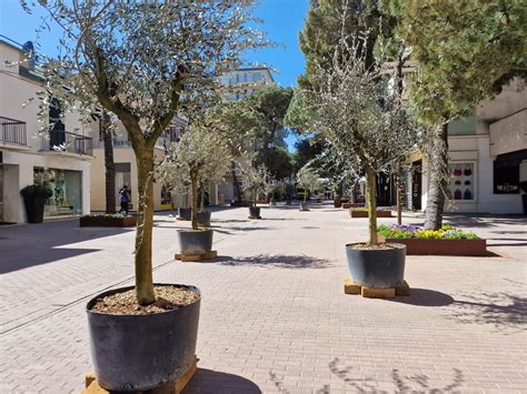 Riccione Allestimenti Botanici Di Viale Ceccarini E Nuovo Arredo