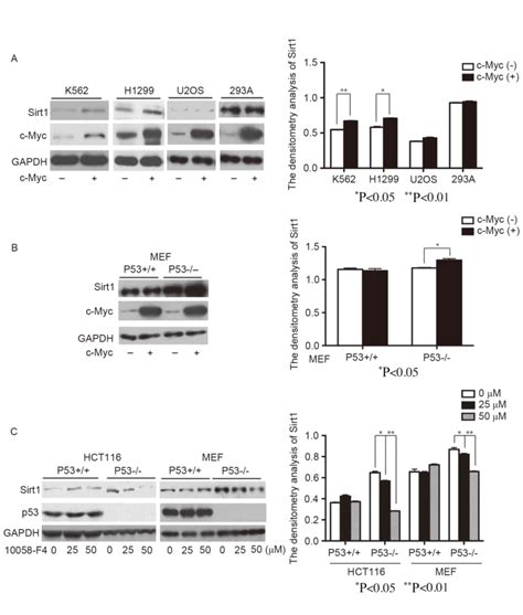 P53 Inhibits The Upregulation Of Sirtuin 1 Expression Induced By CMyc