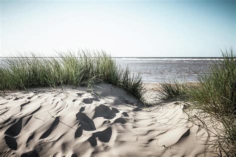 Grassy Sand Dunes On Beach By Dan Brownsword