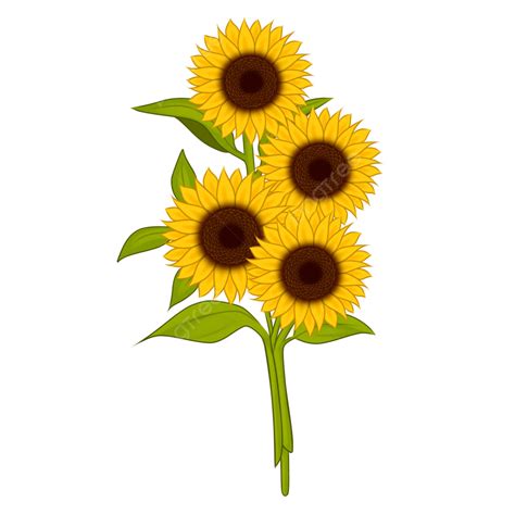 Imagen Floral De Girasol Con Hojas De Dibujos Animados Lindo PNG