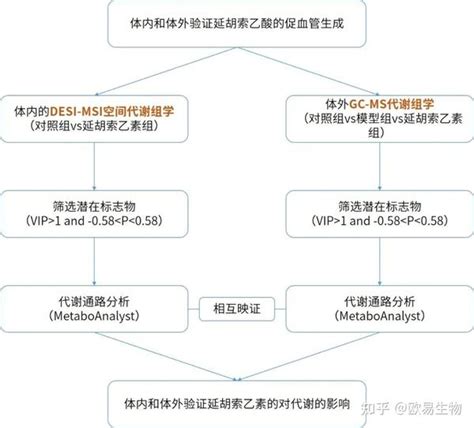 空间代谢组gcms非靶代谢组学揭示延胡索乙素促血管生成新机制 知乎