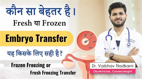 Fresh And Frozen Embryo Transfer Pros Cons Dr Vaibhav Nadkarni