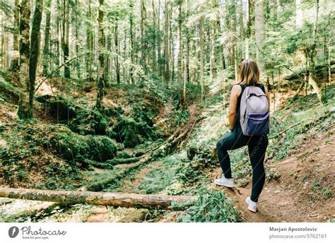 Junge Naturforscherin Im Wald Ein Lizenzfreies Stock Foto Von Photocase