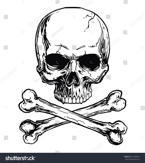 Skull Crossbones Stock Vector Royalty Free 217899841 Shutterstock