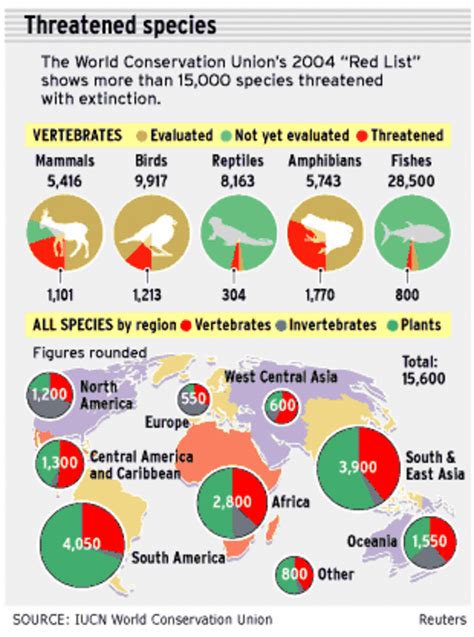 Species Disappearing At An Alarming Rate Report Says