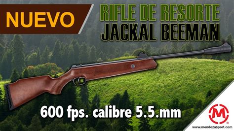 Unboxing Rifle Beeman Jackal De Resorte Youtube