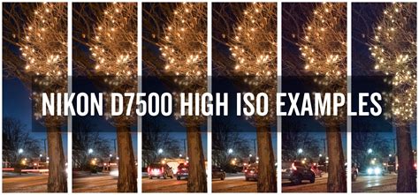 To Give A Sense Of The Nikon D7500s High Iso Performance Ive Put