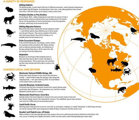 Animals - Climate change