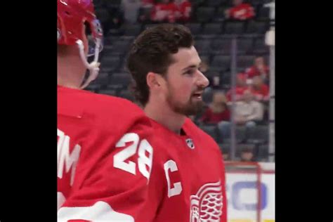 Red Wings Captain Dylan Larkin knocked over a fan's beer during warmups ...