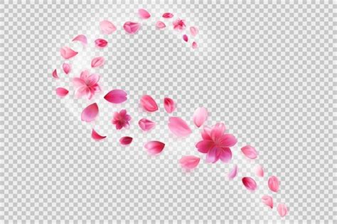 4 406 Beautiful Pink Flower Png Royalty Free Images Stock Photos