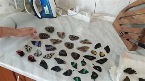 Крылья бабочек в эпоксидной смоле - YouTube