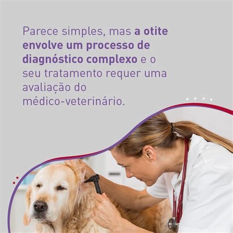 Posatex Remédio Para Otite Em Cães Anti inflamatório 17 5ml Frete grátis