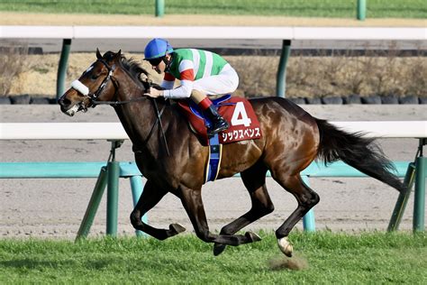 【スプリングs】ルメール「すごく良い3歳馬」シックスペンスが無傷の3連勝 競馬ニュースなら競馬のおはなし