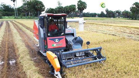 Modern Cabin Kubota Harvester Dc93g Harvesting Rice By Cambodian Farmer