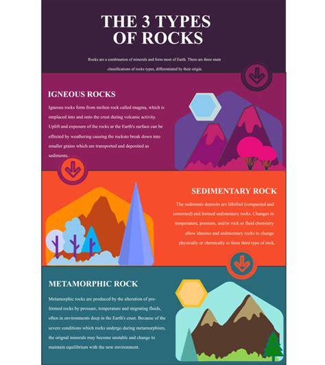 Free Editable Comparison Infographic Examples | EdrawMax Online