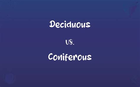 Deciduous vs. Coniferous: Know the Difference