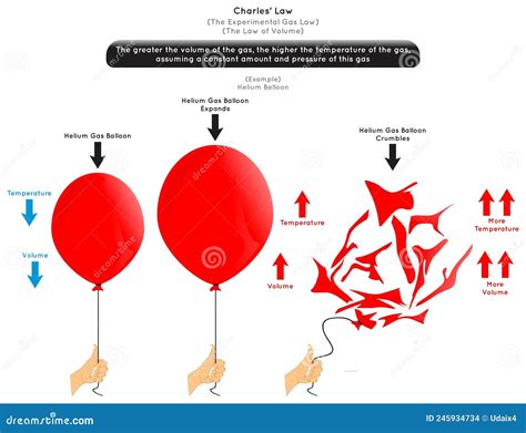 Charles Law Infographic Diagram With Example Of Helium Balloon Stock