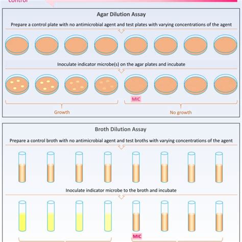 Different Formats Of The Thin Layer Chromatography Bioautography Assay