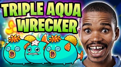 Off Season Triple Aqua Sponge Anemone Build Origins Leaderboards