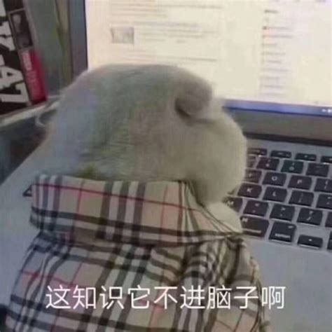 学习 堆糖，美图壁纸兴趣社区