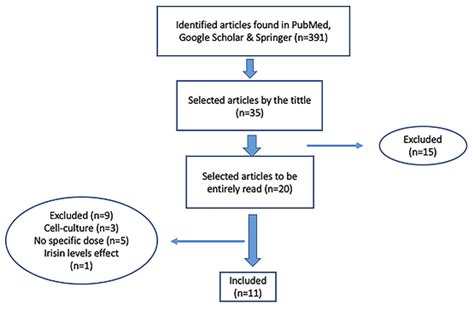 Inclusion Criteria Of Systematic Review Download Scientific Diagram