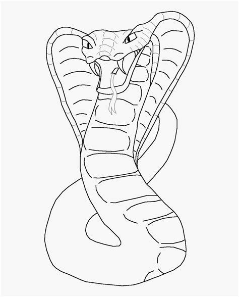 Snake Line Drawing Snake Drawing Line Linework Drawings Getdrawings