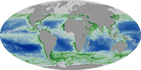 Chlorophyll And Sea Surface Temperature