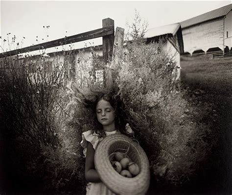 Yard Eggs By Sally Mann On Artnet