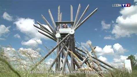 Estuaire De La Loire Des Animaux Et Des Hommes