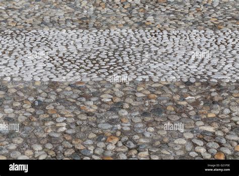 Piedras Redondas En El Suelo La Textura De Los Adoquines En El Parque