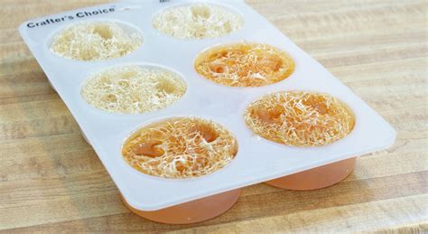 DIY Melt And Pour Loofah Soap Recipe Soap Deli News