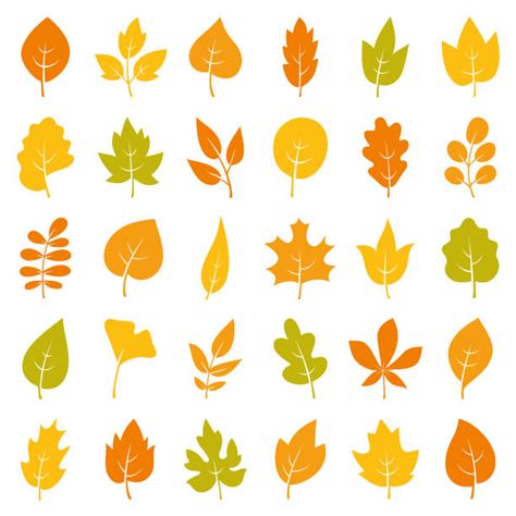 Fall Leaves Outline Clip Art Illustrations, Royalty-Free Vector ...