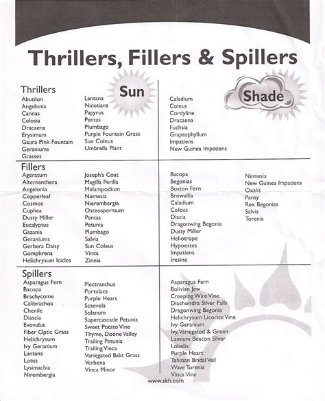 Naruto List Of Fillers 10