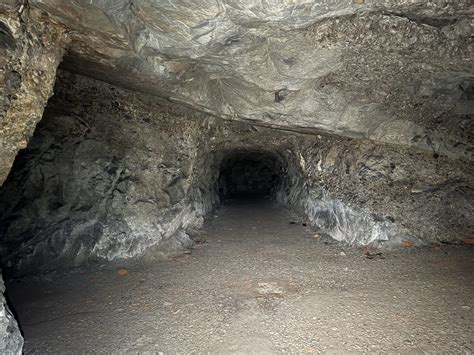 700 Meter Geschichte: Der verborgene Bunker, den kaum einer kennt