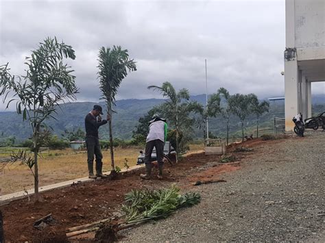 Dinas Lingkungan Hidup Kerinci Tanam Pohon Pelindung Untuk Jaga